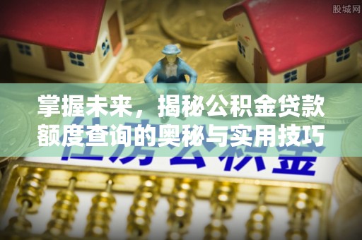 岳池掌握未来，揭秘公积金贷款额度查询的奥秘与实用技巧