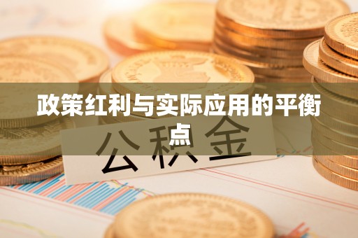 岳池政策红利与实际应用的平衡点