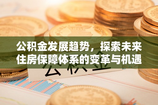 岳池公积金发展趋势，探索未来住房保障体系的变革与机遇