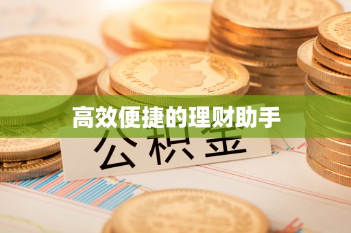 岳池高效便捷的理财助手
