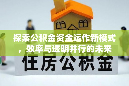 岳池探索公积金资金运作新模式，效率与透明并行的未来