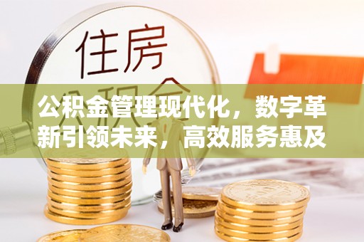 岳池公积金管理现代化，数字革新引领未来，高效服务惠及民生
