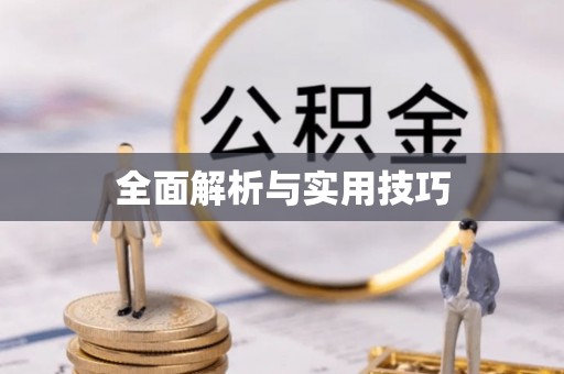 岳池全面解析与实用技巧
