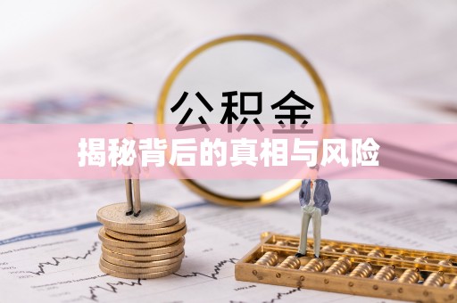 岳池揭秘背后的真相与风险
