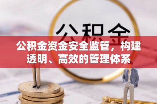岳池公积金资金安全监管，构建透明、高效的管理体系