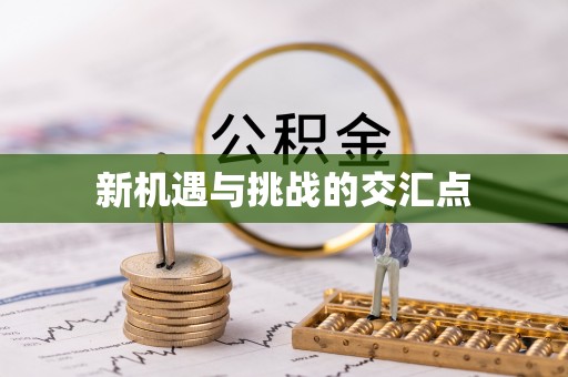 岳池新机遇与挑战的交汇点