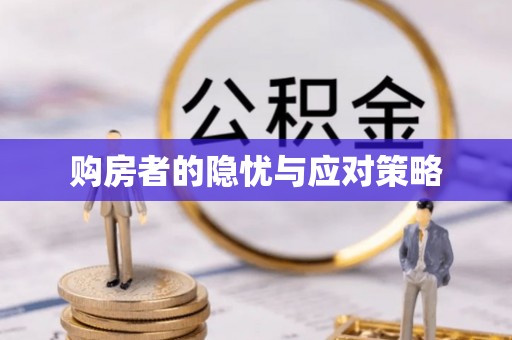 岳池购房者的隐忧与应对策略