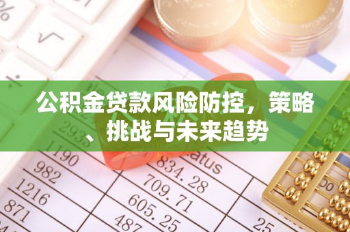 岳池公积金贷款风险防控，策略、挑战与未来趋势