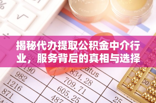 岳池揭秘代办提取公积金中介行业，服务背后的真相与选择指南