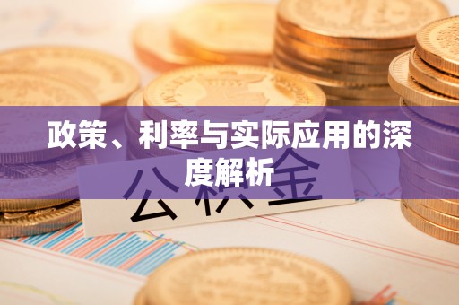 岳池政策、利率与实际应用的深度解析