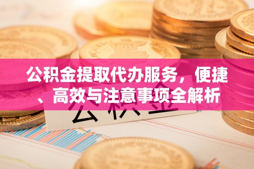 岳池公积金提取代办服务，便捷、高效与注意事项全解析