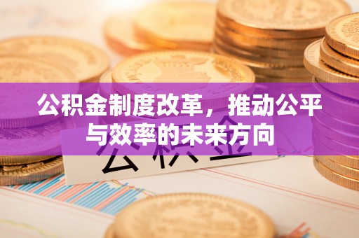 岳池公积金制度改革，推动公平与效率的未来方向