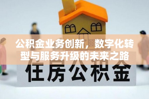 岳池公积金业务创新，数字化转型与服务升级的未来之路