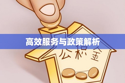 岳池高效服务与政策解析