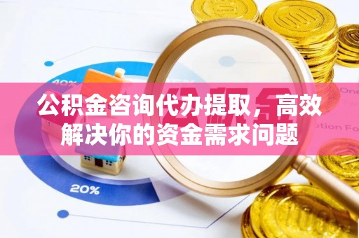 岳池公积金咨询代办提取，高效解决你的资金需求问题