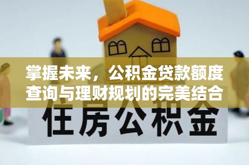 岳池掌握未来，公积金贷款额度查询与理财规划的完美结合