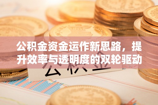 岳池公积金资金运作新思路，提升效率与透明度的双轮驱动