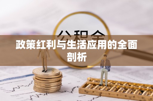 岳池政策红利与生活应用的全面剖析