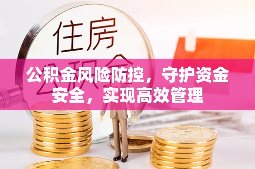 岳池公积金风险防控，守护资金安全，实现高效管理