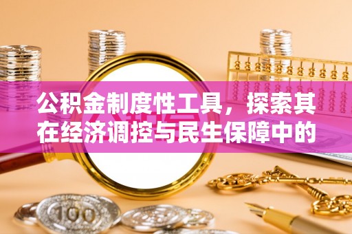 岳池公积金制度性工具，探索其在经济调控与民生保障中的重要作用