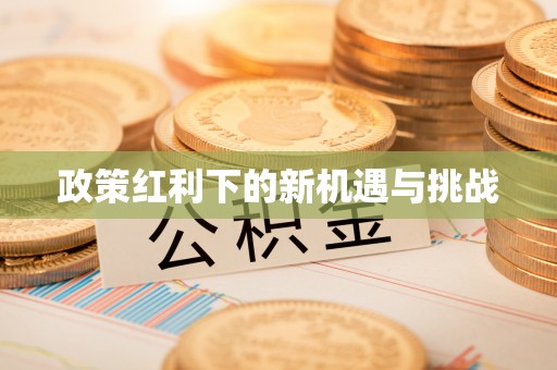 岳池政策红利下的新机遇与挑战