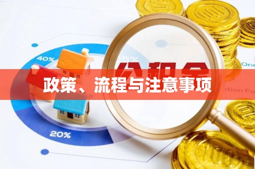 岳池政策、流程与注意事项