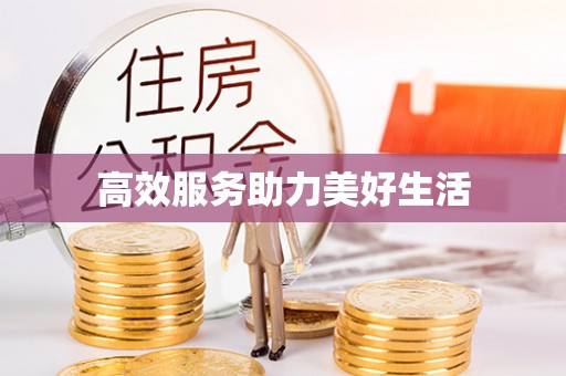 岳池高效服务助力美好生活