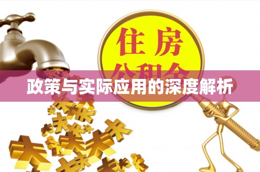 岳池政策与实际应用的深度解析