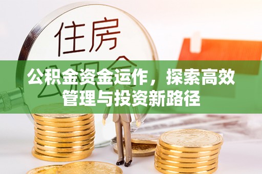 岳池公积金资金运作，探索高效管理与投资新路径