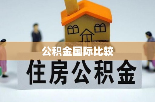 岳池公积金国际比较