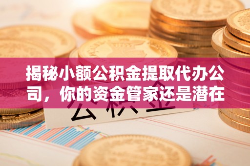 岳池揭秘小额公积金提取代办公司，你的资金管家还是潜在风险？