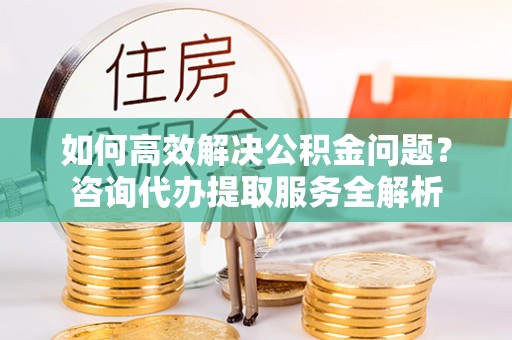 岳池如何高效解决公积金问题？咨询代办提取服务全解析