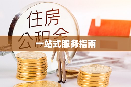 岳池一站式服务指南