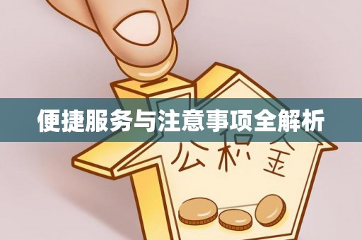 岳池便捷服务与注意事项全解析