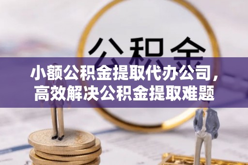 岳池小额公积金提取代办公司，高效解决公积金提取难题