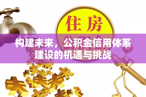 岳池构建未来，公积金信用体系建设的机遇与挑战