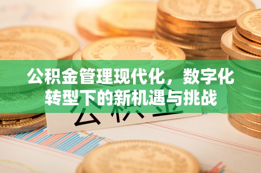 岳池公积金管理现代化，数字化转型下的新机遇与挑战