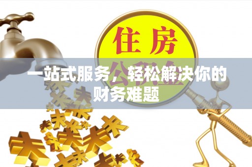 岳池一站式服务，轻松解决你的财务难题