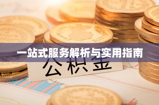 岳池一站式服务解析与实用指南