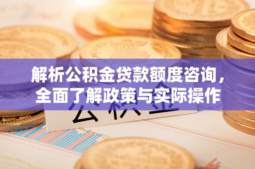 岳池解析公积金贷款额度咨询，全面了解政策与实际操作