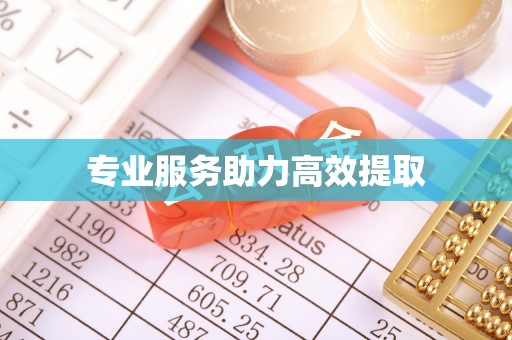 岳池专业服务助力高效提取