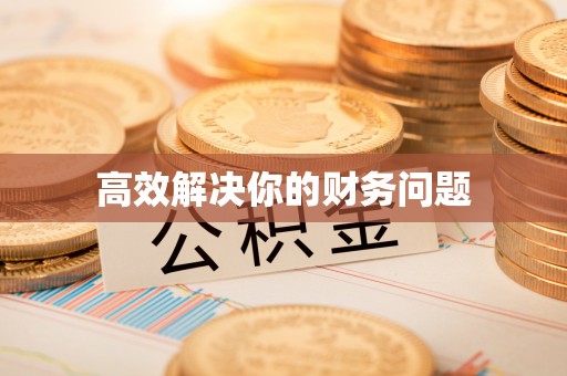 岳池高效解决你的财务问题