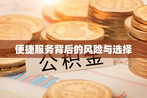 岳池便捷服务背后的风险与选择