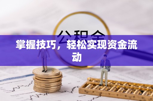 岳池掌握技巧，轻松实现资金流动