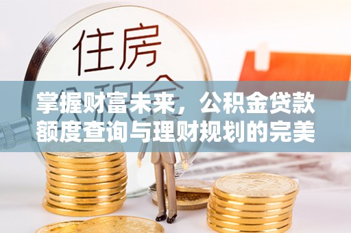 岳池掌握财富未来，公积金贷款额度查询与理财规划的完美结合