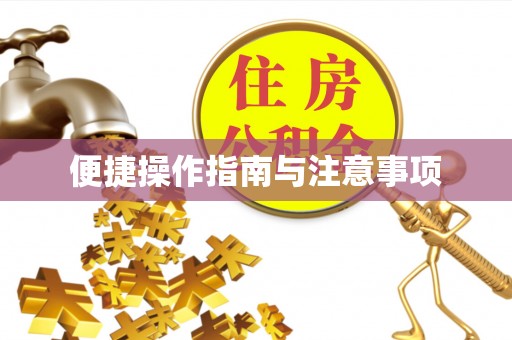 岳池便捷操作指南与注意事项