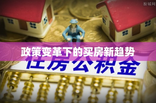 岳池政策变革下的买房新趋势